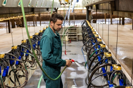 Holtrop Echtenerbrug stallen schoonmaken